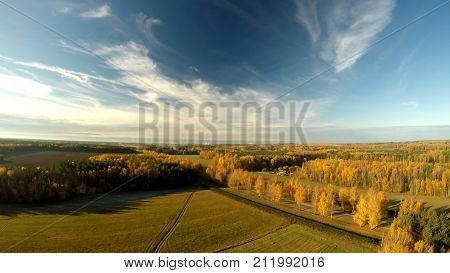Autumn landscape of the forest. Russia. Aerial view