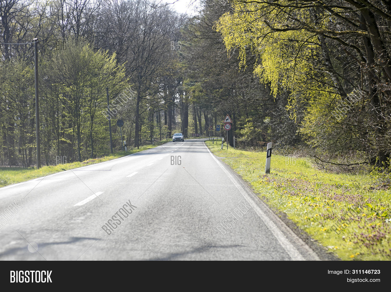 Empty Road Trees Image Photo Free Trial Bigstock Images, Photos, Reviews