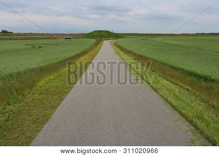 Small Path Way In Wheat Field In Slagelse, Denmark.