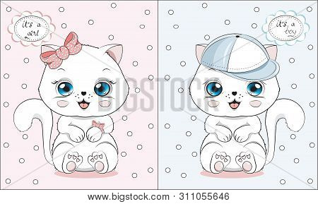 Little Kitten It's A Girl Or Boy
