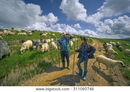 A Flock Of Sheep On A Mountain