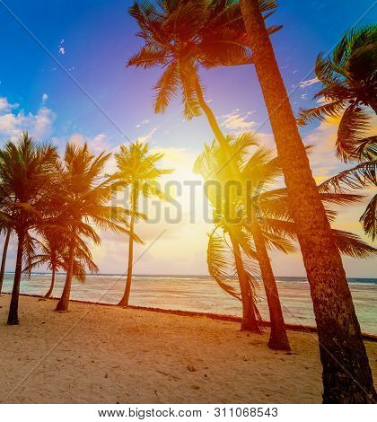 Sunset In Bois Jolan Shore In Guadeloupe, French West Indies. Lesser Antilles, Caribbean Sea