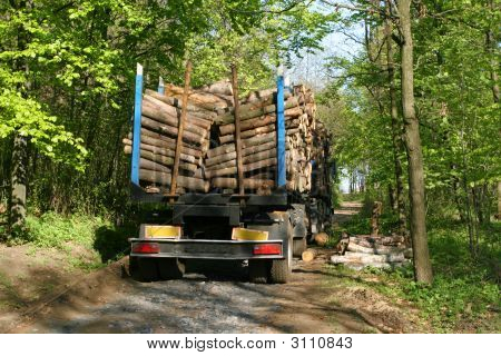 Lumber Transport