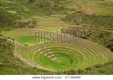 Mezőgazdasági Inca teraszokra Moray, Peru