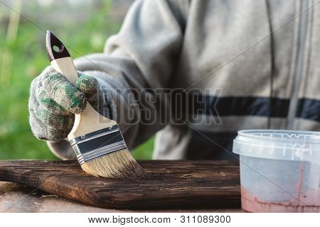 The Carpenter Is Dyeing A Wooden Board By A Brush In His Hand With A Mordant Paint.