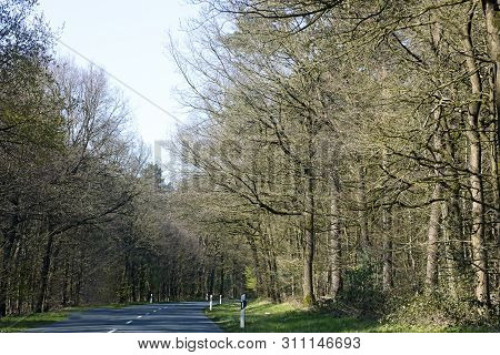 Empty Road With Trees Driving From Olfen To Dorsten Road Tripp Backgrounds Wallpapers In High Qualit