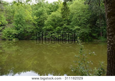 Trees Reflecting In An Old Mud-covered Pond At Doris Castle In The Czech Republic