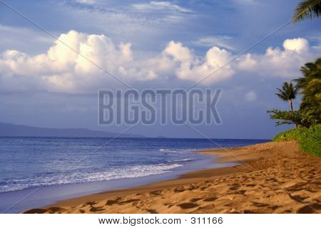 ชายหาดเขตร้อนที่สวยงาม