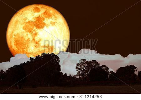 Buck Blood Moon On Night Sky Back Over Silhouette Forest