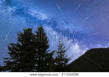 A View Of The Stars Of The Blue Milky Way With Pine Trees Forest Silhouette In The Foreground. Night