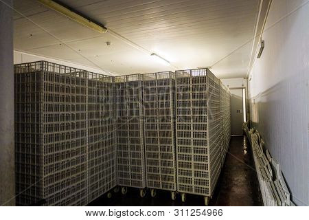 Storage Room For Empty Hatcher Carts And Baskets. Agro-industrial Hatchery.