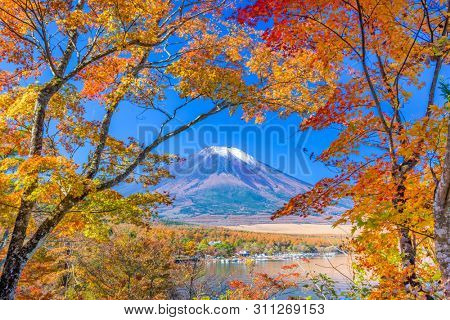 Mt. Fuji, Japan viewed from Yamanaka Lake with Fall Foliage.