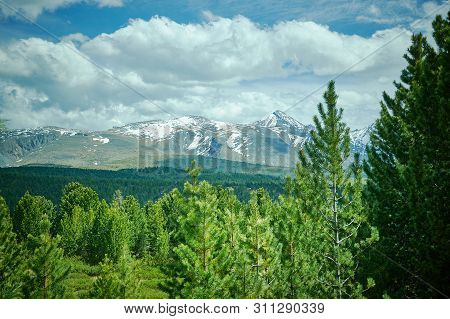 Ulagansky Pass, Altai  Mountain,  Russia Outdoor Woodland,