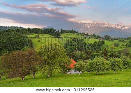 Stunning Alpine Landscape And Green Fields, Holbav, Transylvania, Romania, Europe