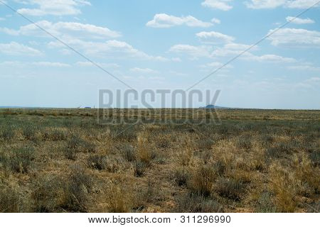 Steppe Landscape. Lonely Green Plants On Dry, Hot Sand.the Steppe Is Woodless. Ravine In The Steppe.