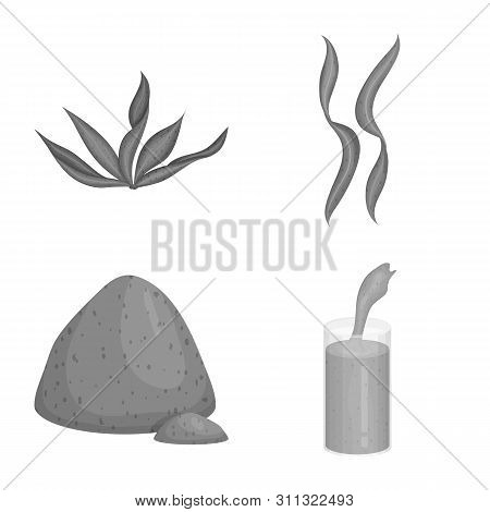 Vector Illustration Of Plant And Weed Icon. Set Of Plant And Sea Vector Icon For Stock.