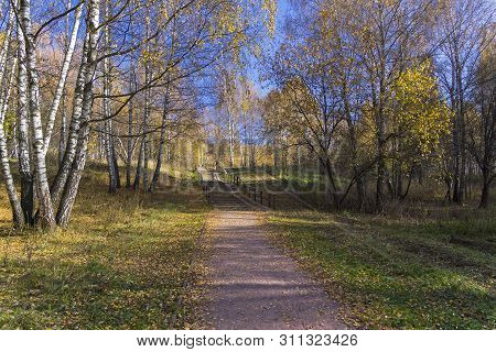 A Foot Path Crosses A Small Ravine. Landscape Reserve Teply Stan, Moscow, Russia. Sunny Day In Octob