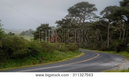 Pierce Point Road In Point Reyes National Seashore On A Foggy Spring Day Featuring Green Grass And C