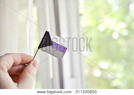 Hand Waving A Tiny Demisexual Pride Flag