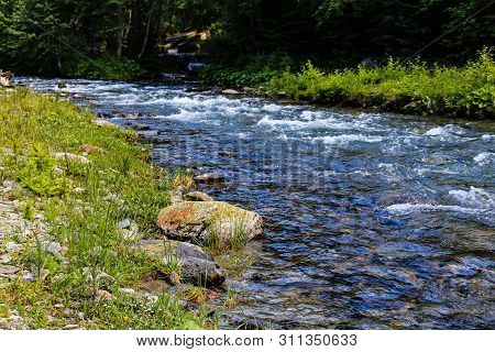 Creek Of Rausor Dam In The Mountains Of Iezer, Romania. Small Stream Of Water In The Forest.