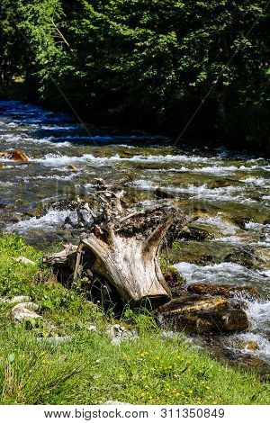 Creek Of Rausor Dam In The Mountains Of Iezer, Romania. Small Stream Of Water In The Forest.
