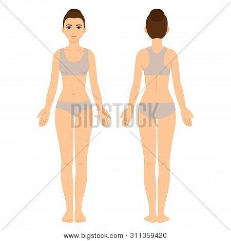 Female Body Chart, Vector & Photo (Free Trial) | Bigstock