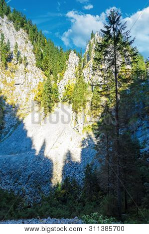 Trees On Steep Rocky Slope. Beautiful Nature Scenery On A Sunny Day. Canyon Of Cetatile Ponorului Ca