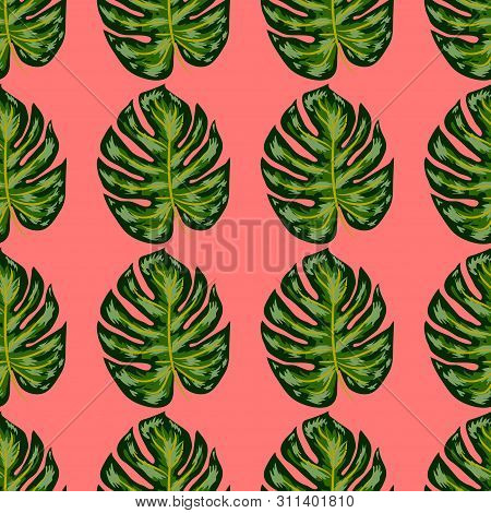 Tropical Pattern. Seamless Texture With Bright Hand Drawn Leaves Of Monstera.
