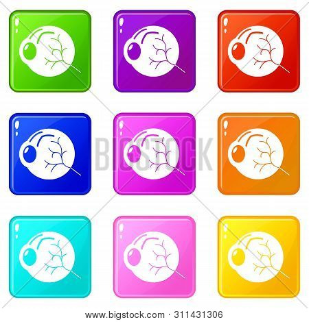 Human Eye Icons Set 9 Color Collection Isolated On White For Any Design