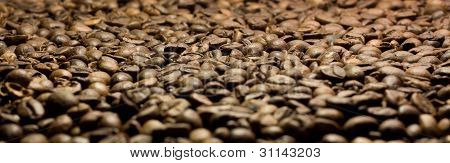 Kaffe i korn lukke