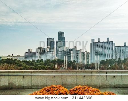 Cityscape Of A Big City With High Skyscrapers. Peaceful Atmosphere With Bright Orange Flowers.