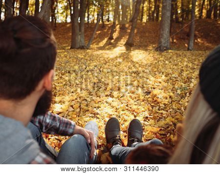 Romantic Fall Leisure. Back View Of Couple Sitting On Ground, Enjoying Autumn Forest Landscape Scene