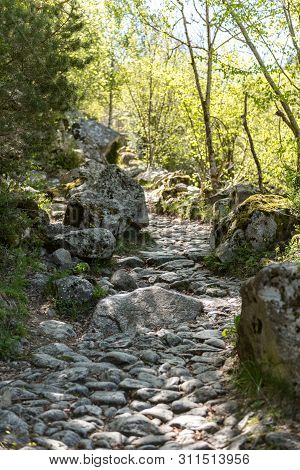 Landscape In Riu Madriu, Escaldes  Engordany, Andorra,