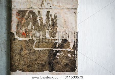 Stone Texture As Background And Image Photo