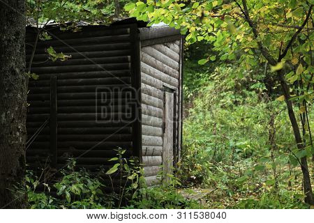 Forest Hut, Lost Among The Dense Foliage.