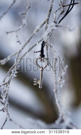 Key On Winter Branch. Mystery Among Frost.