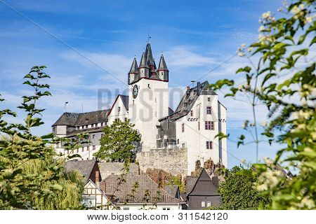 Scenic View To Diez  Castle With Tree In Foreground