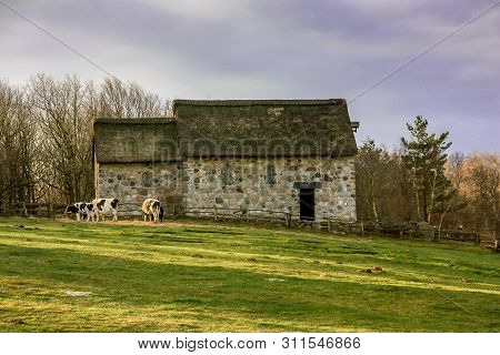 Photo Is Taken On Hjear Hede, Dk. A 19th Century Village.