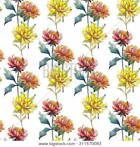 Aster Floral Botanical Flowers. Watercolor Background Illustration Set. Eamless Background Pattern.