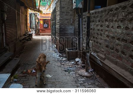 VARANASI, INDIA - MAR 22, 2018: On one of the streets of the old city near holy Ganges river. According to legends, the city was founded by God Shiva about 5000 years ago.