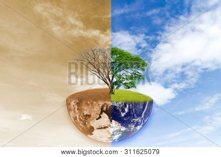 World Change Tree Forest Drought And Forest Refreshing Of Elements Of This Image Furnished By Nasa.
