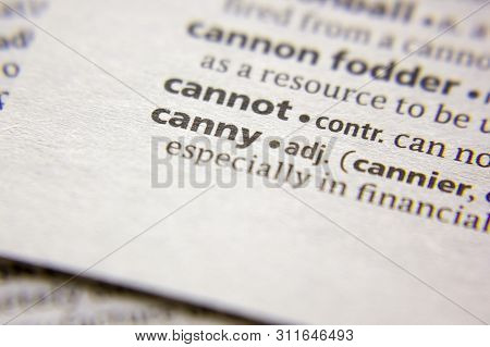 Word Or Phrase Canny In A Dictionary