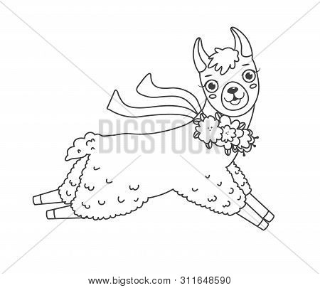 Cute Outline Doodle Jumping Llama With Hand Drawn Elements