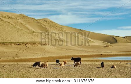 Sands Mongol Els