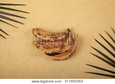 Ugly Bananas Lie On A Yellow Background With Palm Leaves