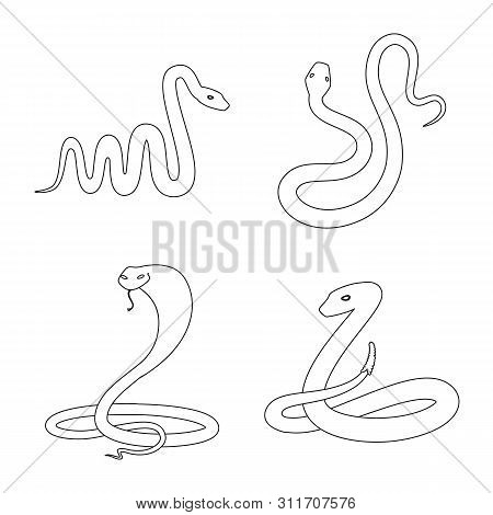 Vector Design Of Poison And Evil Icon. Collection Of Poison And Bite Stock Symbol For Web.