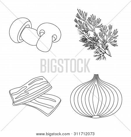 Isolated Object Of Seasonin And Ingredient Icon. Collection Of Seasonin And Aroma Vector Icon For St