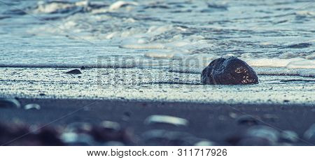 Close-up Of Stones On The Beach Lapped By Water