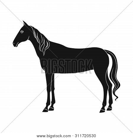 Vector Design Of Steed And White Sign. Set Of Steed And Hoofed Stock Symbol For Web.