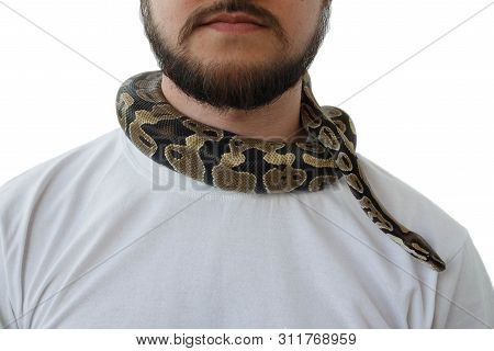 A Man With A Snake Around His Neck. White Background. Snake Around A Man's Neck.